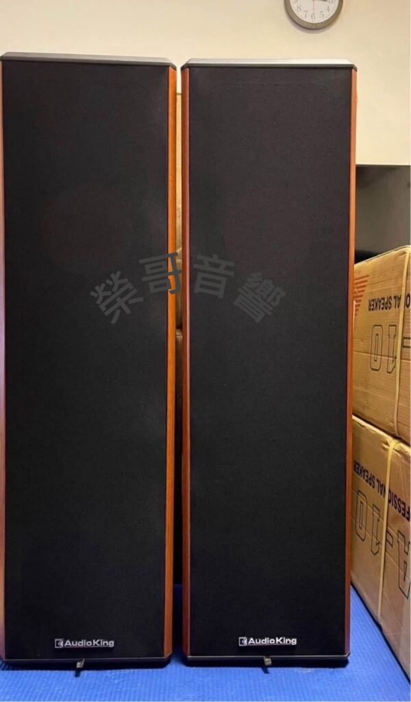 Audio King A-10 憾聲 高階 落地式 喇叭 雙10吋低音