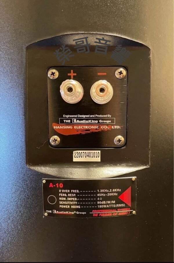 Audio King 憾聲 A-10 專業卡拉ok落地式雙10吋喇叭 結帳輸入折扣碼a10再打折