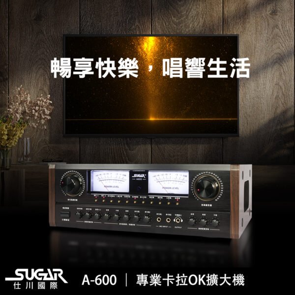 SUGAR A-600 多功能專業卡拉OK擴大機 大功率300W+300W 結帳輸入折扣碼a600再打折