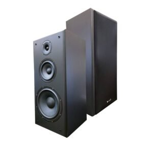 YI SHENG 亦聲 YS-K10  專業卡拉OK書架型10吋低音設計三音路三單體喇叭 結帳輸入折扣碼yak10再打折