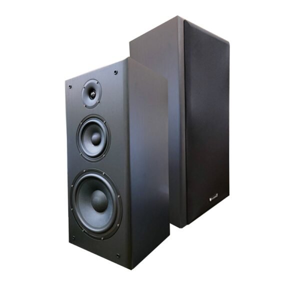 YI SHENG 亦聲 YS-K10  專業卡拉OK書架型10吋低音設計三音路三單體喇叭 結帳輸入折扣碼yak10再打折