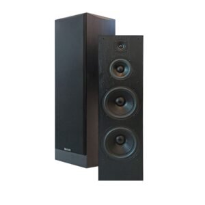 YI SHENG 亦聲 YS-210 專業卡拉OK落地式雙10吋低音設計三音路四單體喇叭 結帳輸入折扣碼ys210再打折