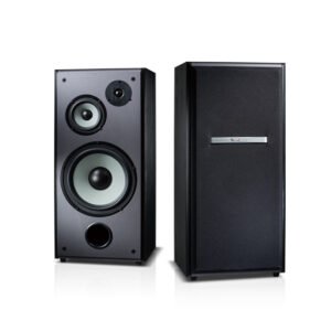 TDF M-103 專業10吋卡拉OK/家庭劇院 桌上型喇叭 結帳輸入折扣碼m103再打折