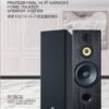 FNSD SP-1902專業卡拉OK落地式10吋主聲道喇叭 結帳輸入折扣碼sp1902再打折