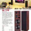 Audio King憾聲AK-1230 台灣大廠製造 專業卡拉OK雙12吋落地式劇院/歌唱專業喇叭 4音錄6單體  結帳輸入折扣碼ak1230再打折