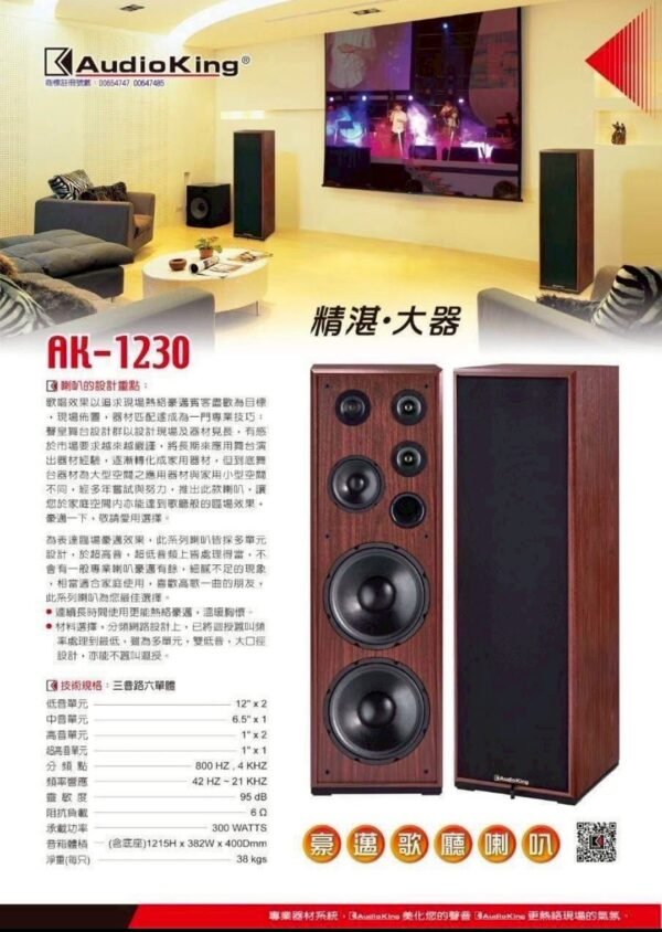 Audio King憾聲AK-1230 台灣大廠製造 專業卡拉OK雙12吋落地式劇院/歌唱專業喇叭 4音錄6單體  結帳輸入折扣碼ak1230再打折