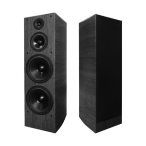 FPRO Vocal 3123+專業唱歌卡拉OK 旗艦級雙10吋主喇叭 結帳輸入折扣碼3123+再打折