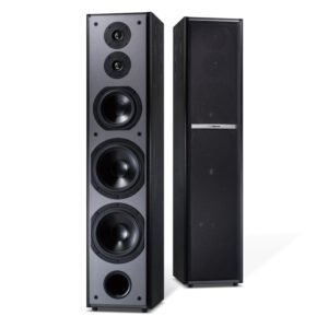 TDF M-6 專業雙8吋 卡拉OK/家庭劇院 落地型喇叭 結帳輸入折扣碼m6再打折