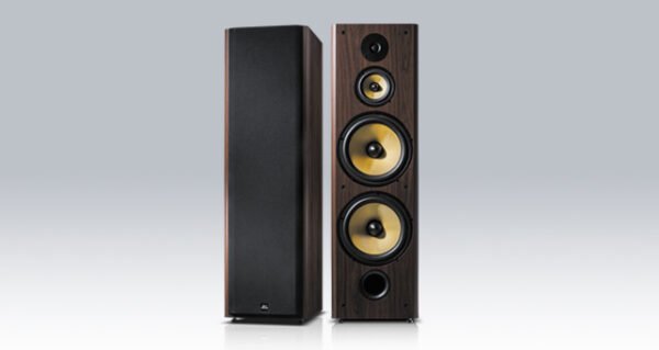 FNSD 華成 SD-903N 台灣大廠製造 專業卡拉OK家庭劇院歌唱落地式雙10吋喇叭 結帳輸入折扣碼SD903N再打折