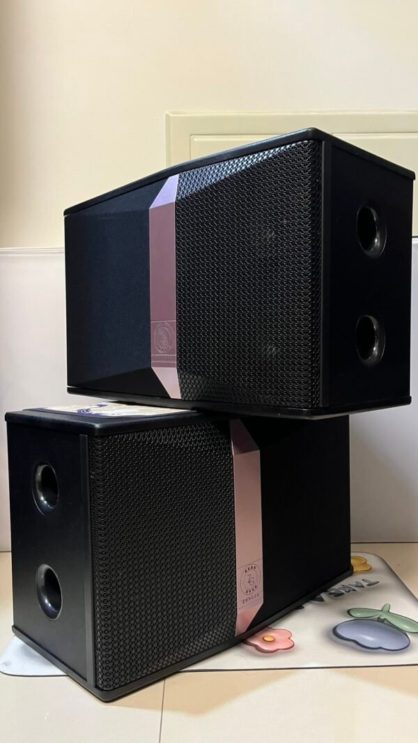 ZonGer K12 專業卡拉OK懸吊式10吋二音路三單體喇叭 結帳輸入折扣碼k12再打折