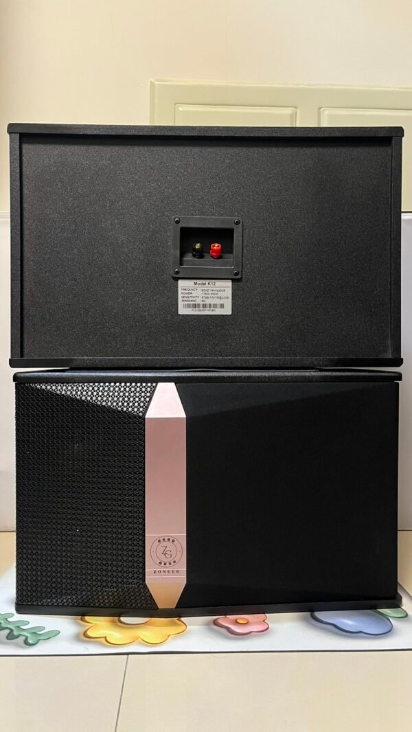 ZonGer K12 專業卡拉OK懸吊式10吋二音路三單體喇叭 結帳輸入折扣碼k12再打折