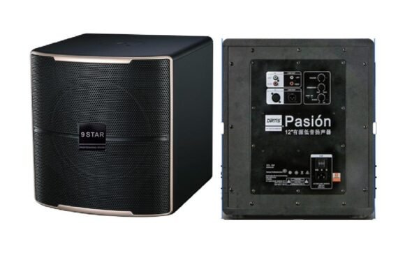 9STAR Pasion 12SP 專業KTV 演講 活動表演教學 12吋超重低音 重量23kg 結帳輸入折扣碼9star12sp再打折