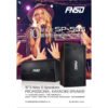 FNSD 華成 SP-505 營業升級版 專用卡拉OK懸吊10寸3音路5單體喇叭 結帳輸入折扣碼sp505再打折