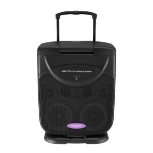 Inyuan音圓W-880P 移動型伴唱機 4TB (18.5吋觸控液晶螢幕/簡譜、錄音)結帳輸入折扣碼w880p再打折